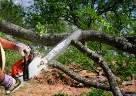 Best Lawn Irrigation Installation and Maintenance  in Colchester, IL