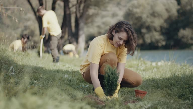 Lawn Pest Prevention in Colchester, IL