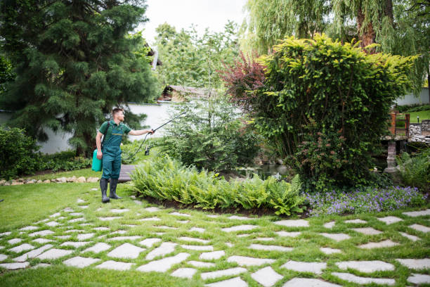 Best Tree Mulching  in Colchester, IL