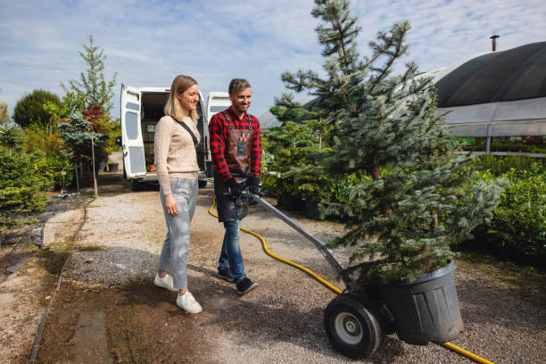 Best Seasonal Cleanup (Spring/Fall)  in Colchester, IL